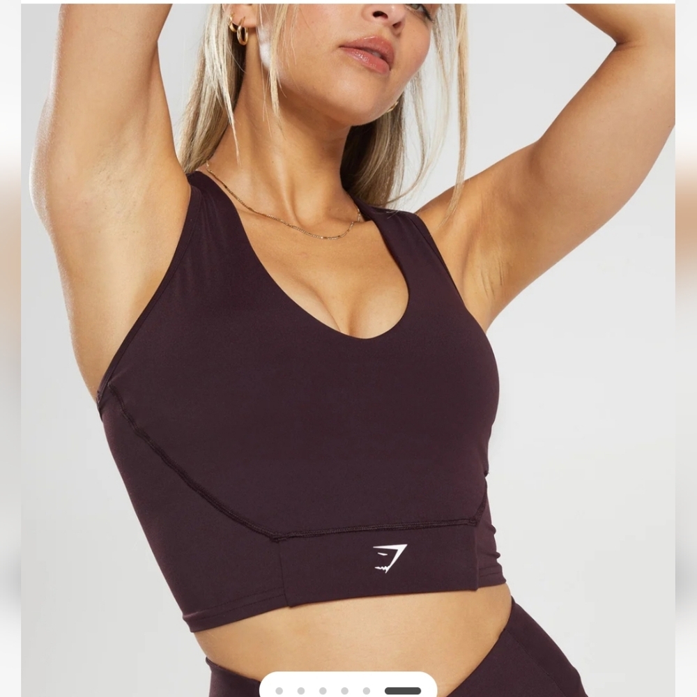 Gymshark Crop Mesh Tank Plum Brown Size Small